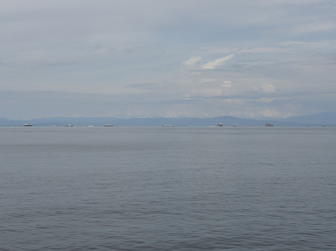 Brunei Bay景点图片