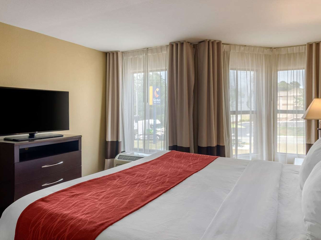 Comfort Inn & Suites主图