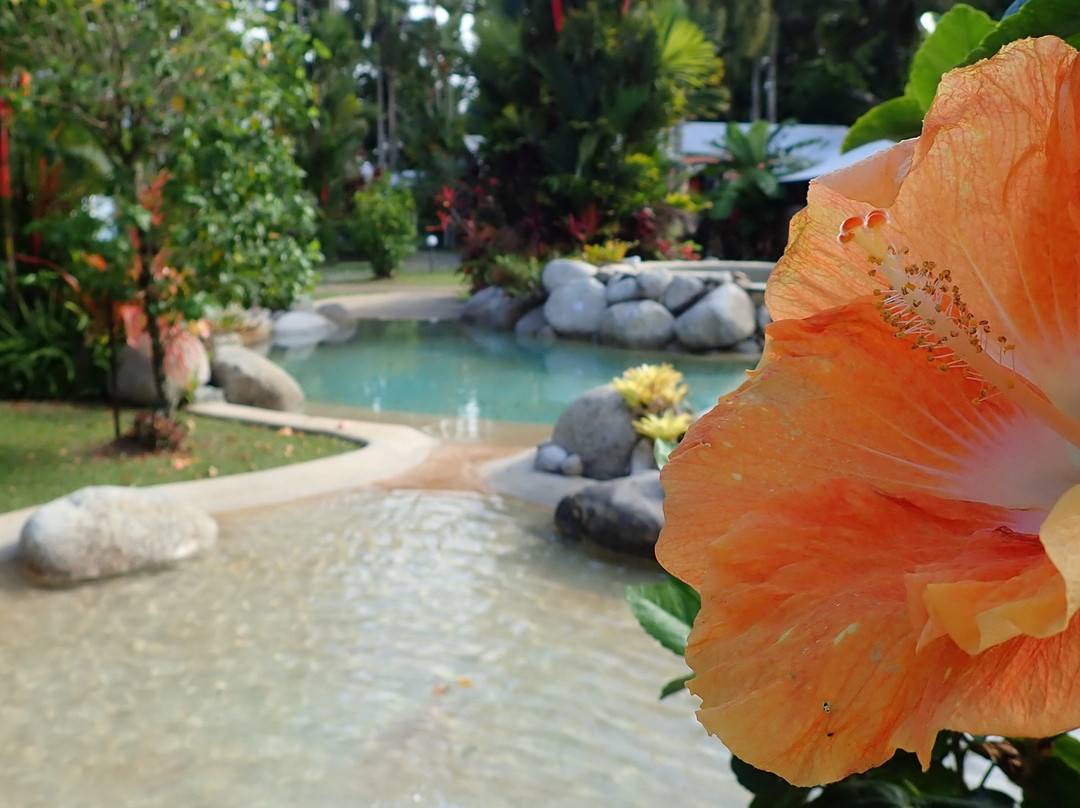 Wonga Beach酒店住宿-Mossman Motel Holiday Villas