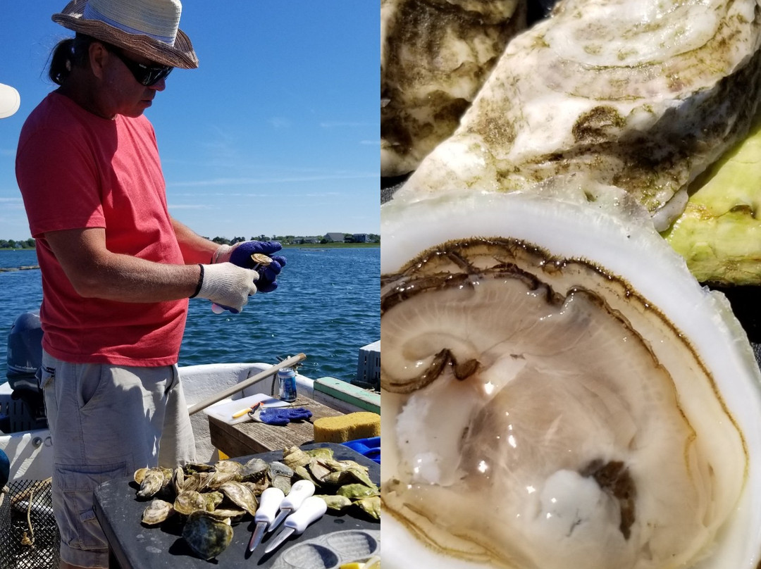 Nonesuch Oysters-斯卡伯勒必去景点