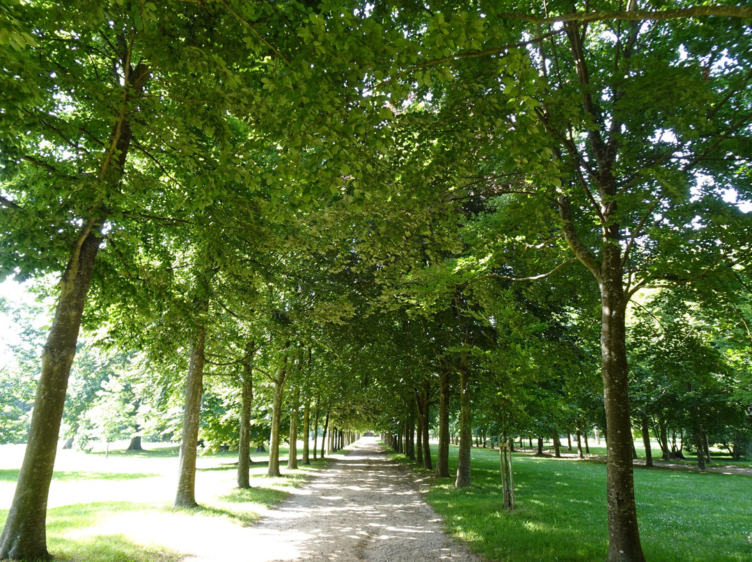 凡尔赛宫花园景点图片