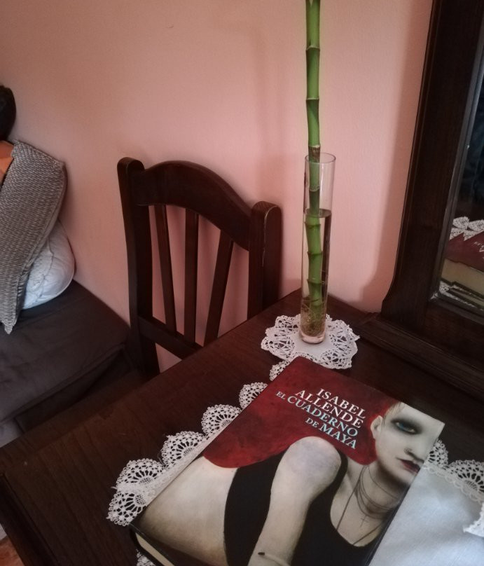 La Ercina Hotel Rural主图