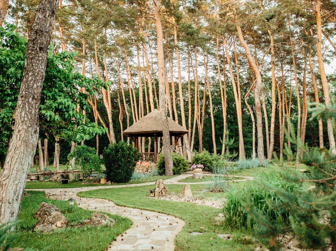 Kohavi Forest Club