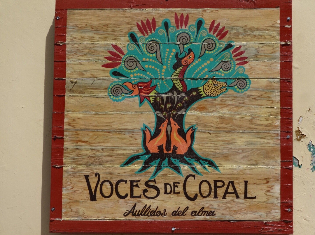 Voces de Copal-瓦哈卡必去景点
