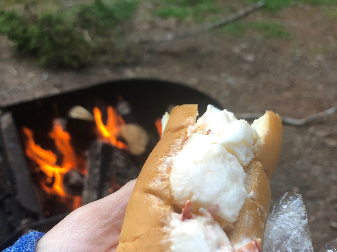 Amherst Shore Provincial Park-Northport必去景点