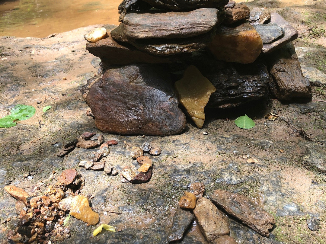 Elachee Nature Science Center-盖恩斯维尔必去景点