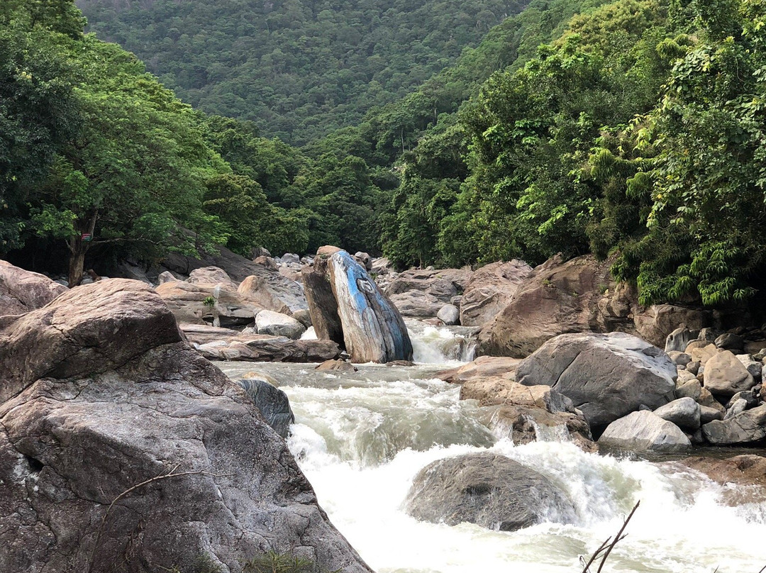 Virgin Valley Pathrakadvu景点图片