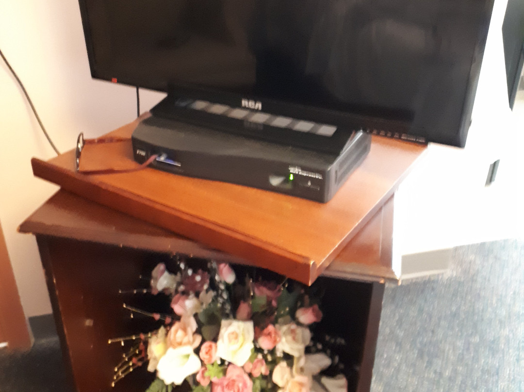 Silver Birch Motel主图