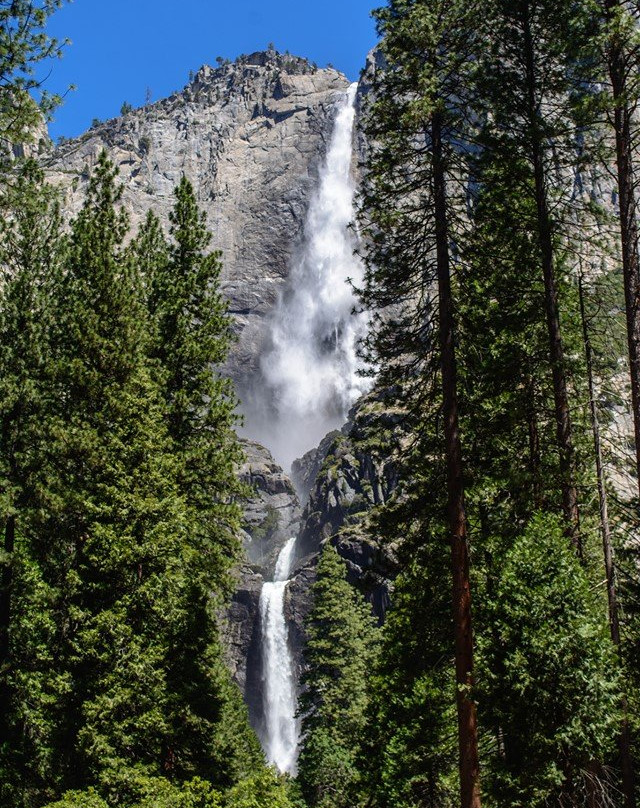 Yosemite Private Tours-优胜美地国家公园必去景点