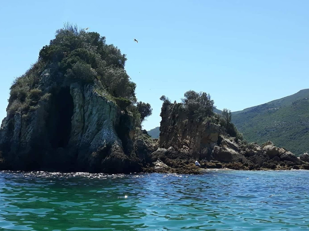 Natural Park Boat Tours-Setubal必去景点