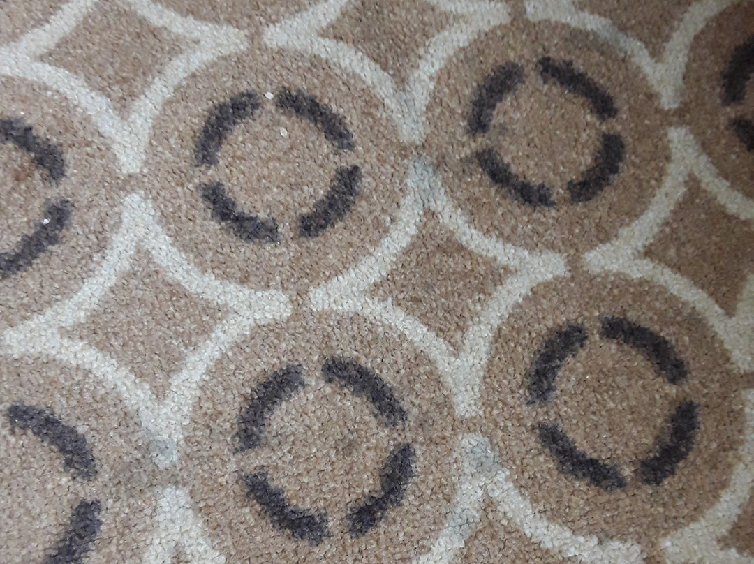 Microtel Inn & Suites by Wyndham Pearl River/Slidell主图