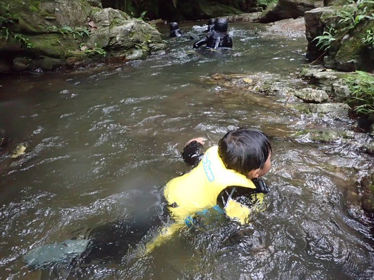 HABU ASOBI-名护市必去景点