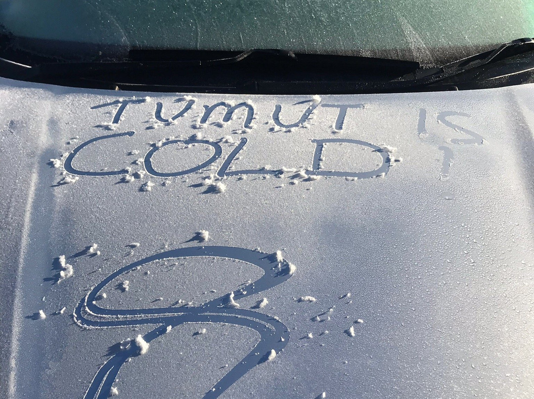 Elms Motor Inn The主图