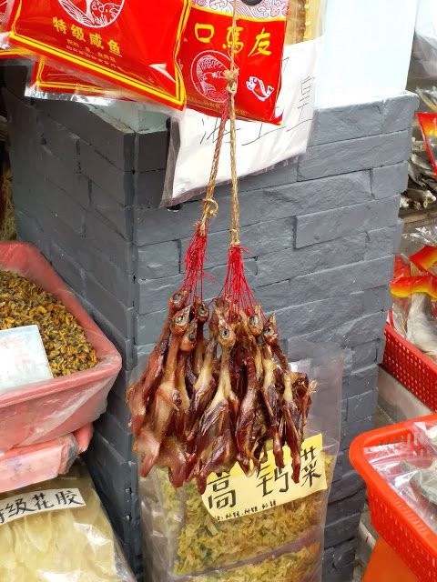 南沙十九涌海鲜市场-广州市必去景点