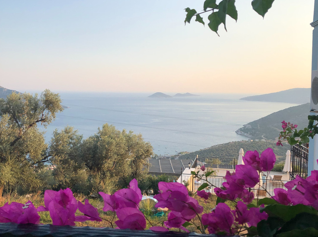 The Mediteran Hotel主图