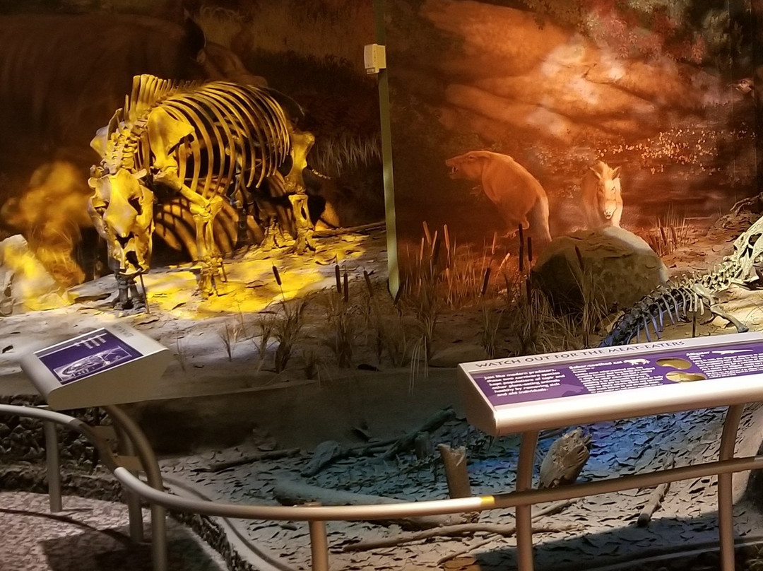 Gray Fossil Site-Gray必去景点