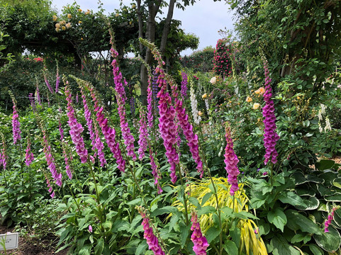 Yume Harvest Farm-小诸市必去景点