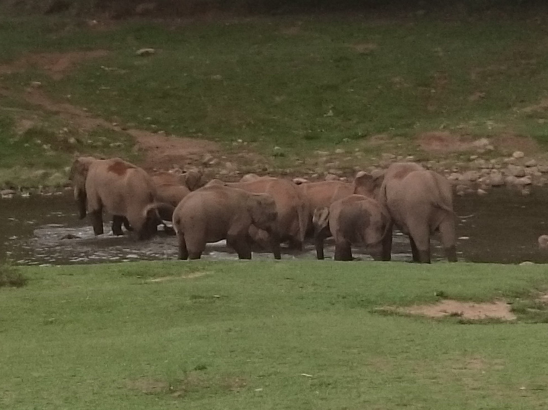 Elephant View Point景点图片