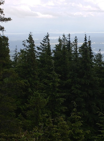 Mount Walker-Quilcene必去景点