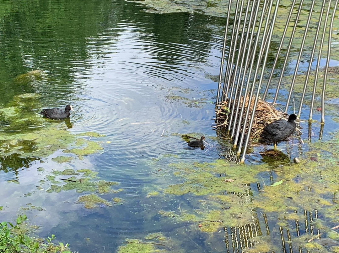 Tiergarten Ulm景点图片