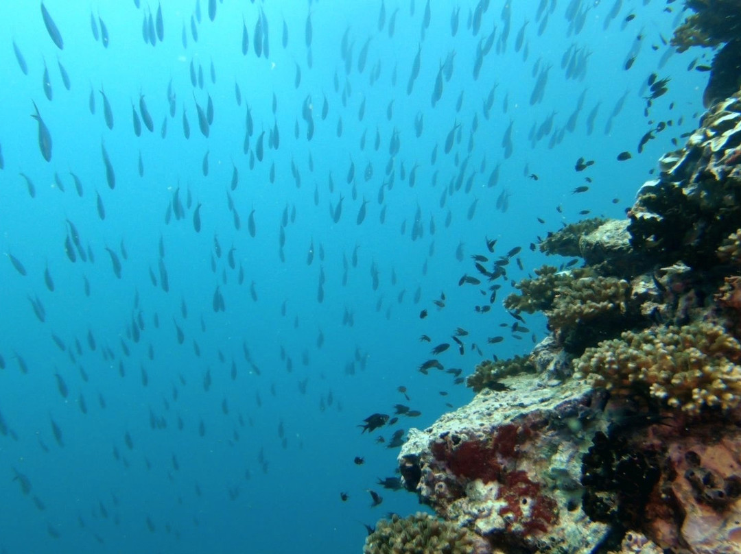 Sail Rock (Dive Site)景点图片