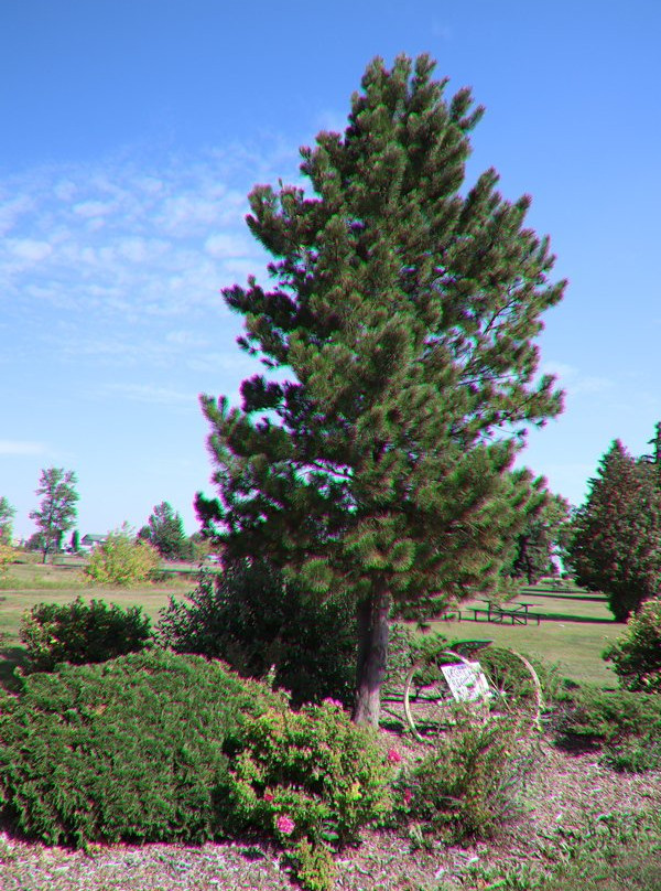 Vegreville Elks Park and Fish Pond-韦格勒维尔必去景点