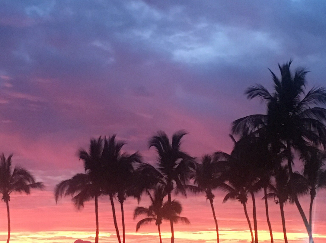 Estrella Del Mar Golf Course-马萨特兰必去景点