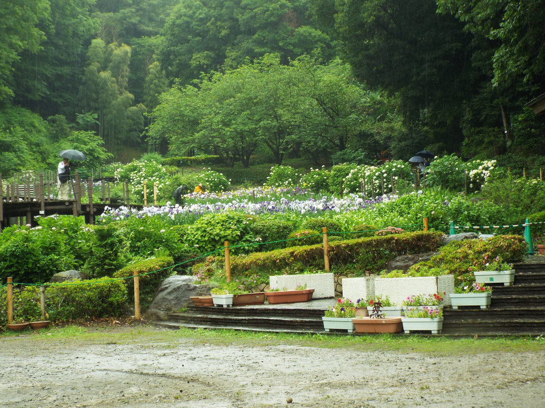 Ninomiya Seseragi Park-二宫町必去景点