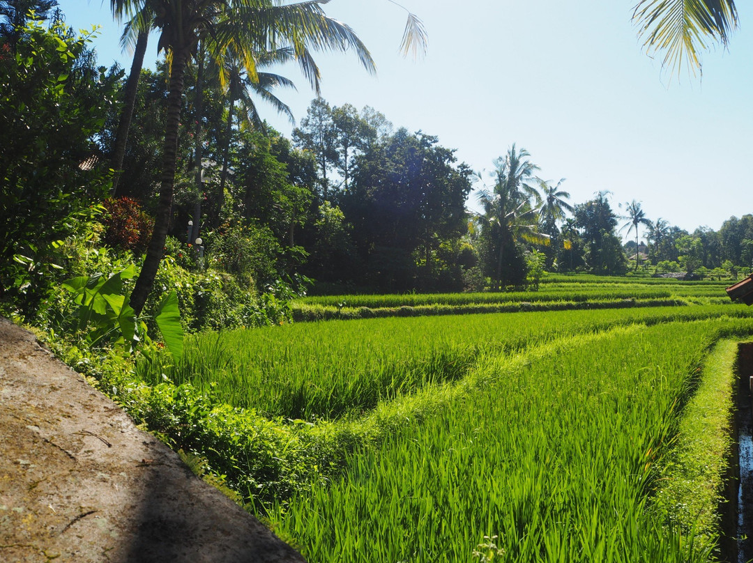 Lotus Guesthouse主图