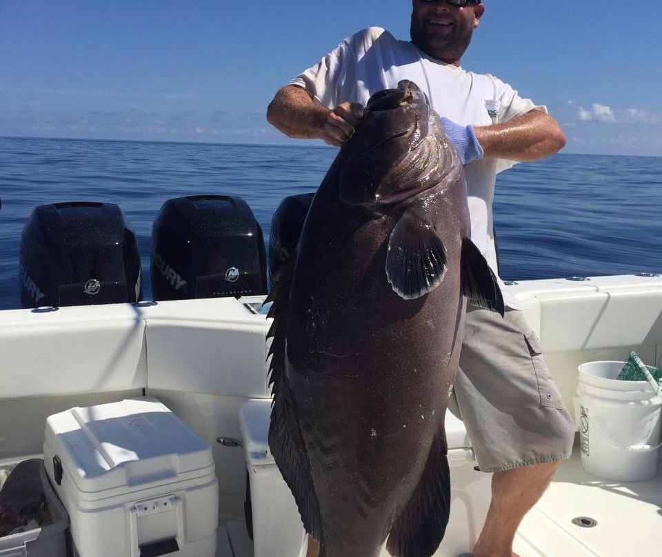 Offshore Boca Grande-Placida必去景点