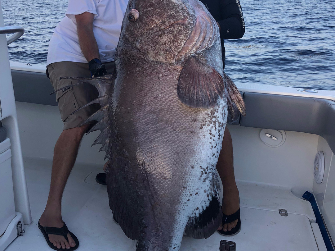 Offshore Boca Grande-Placida必去景点