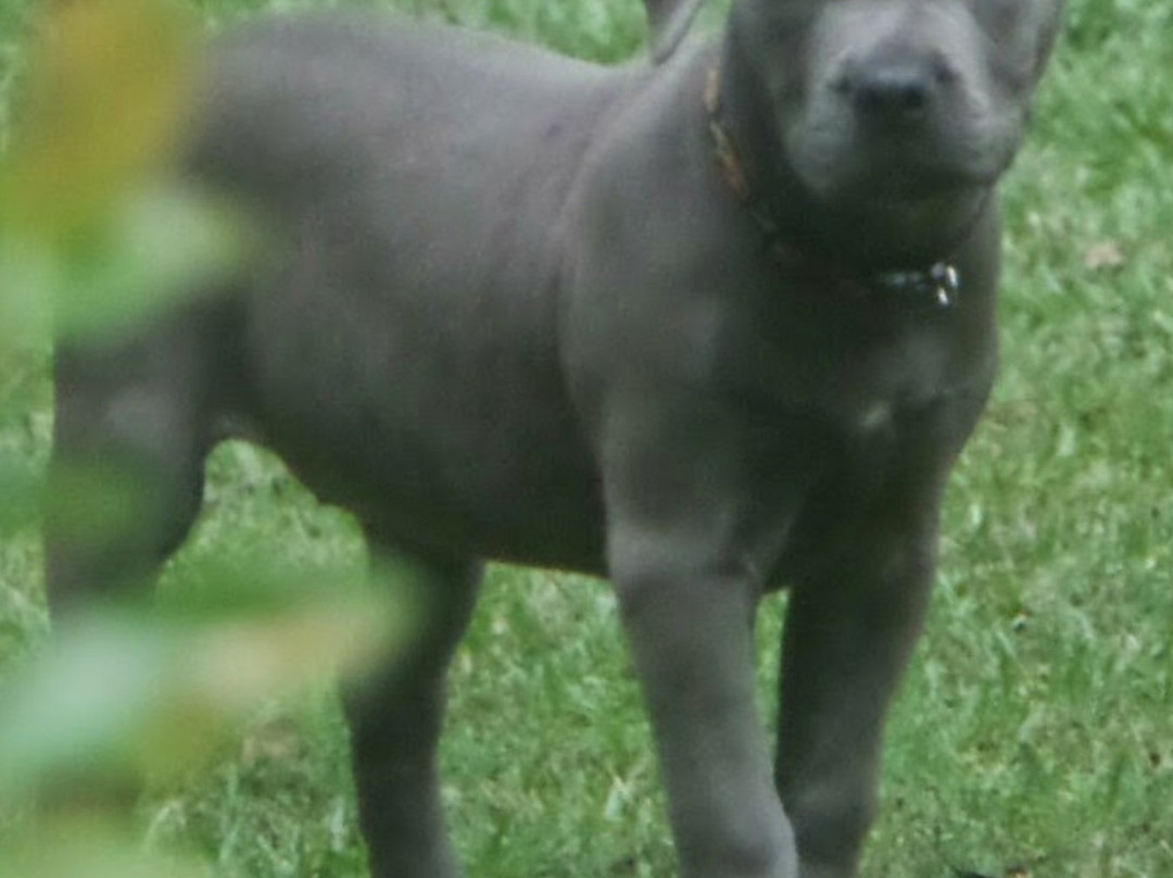 Timrod Park-佛罗伦萨必去景点