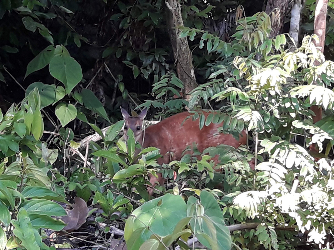 On experiences-拉巴斯必去景点