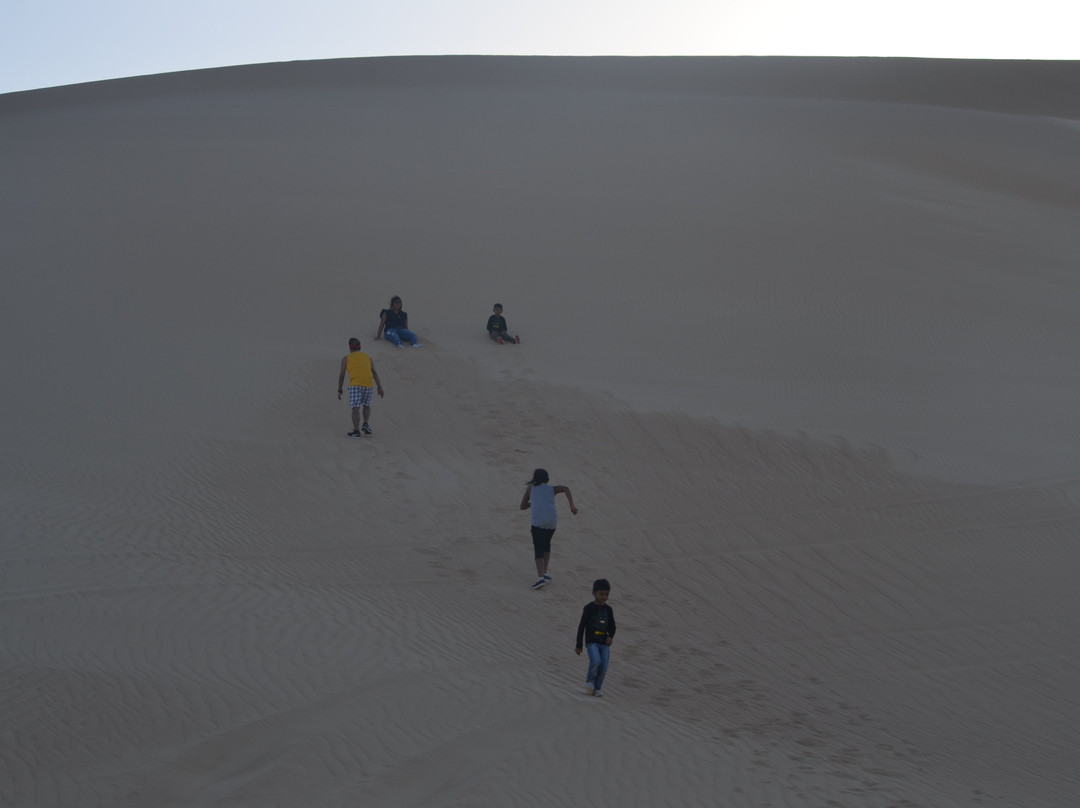 Sahara Desert-New Valley Governorate必去景点