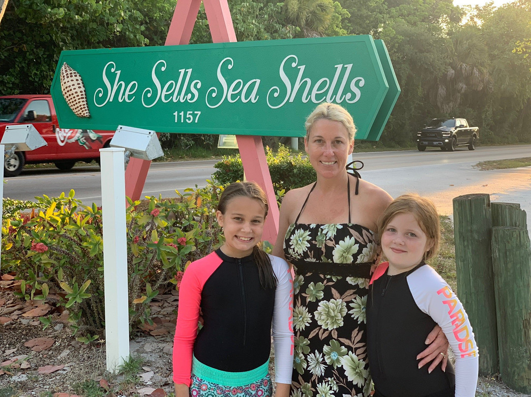 She Sells Sea Shells景点图片