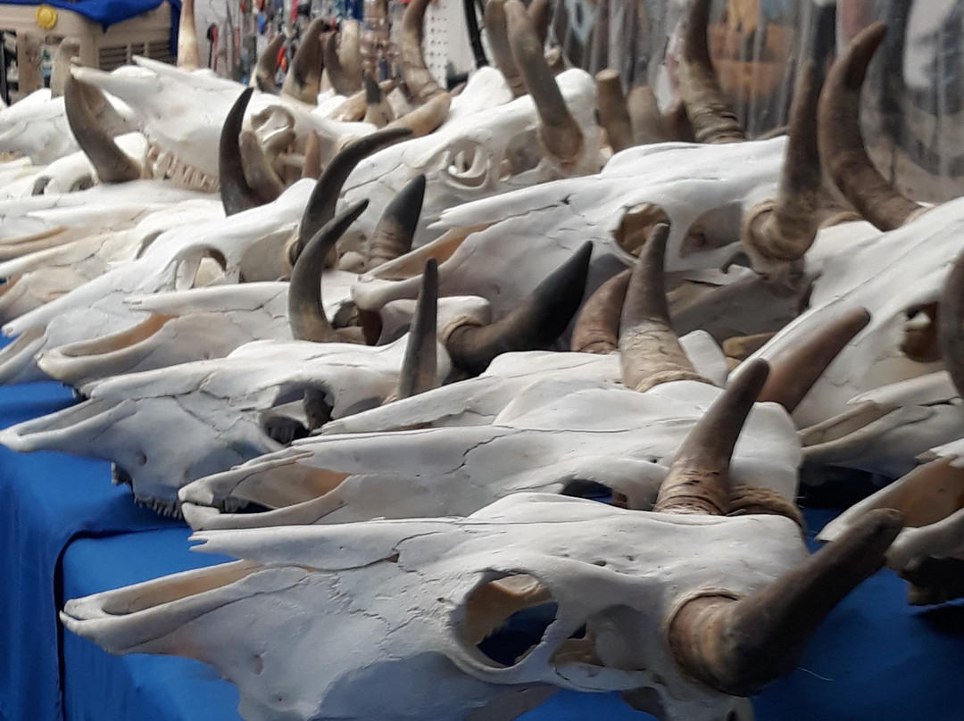 Mesa Market Place Swap Meet-梅萨必去景点