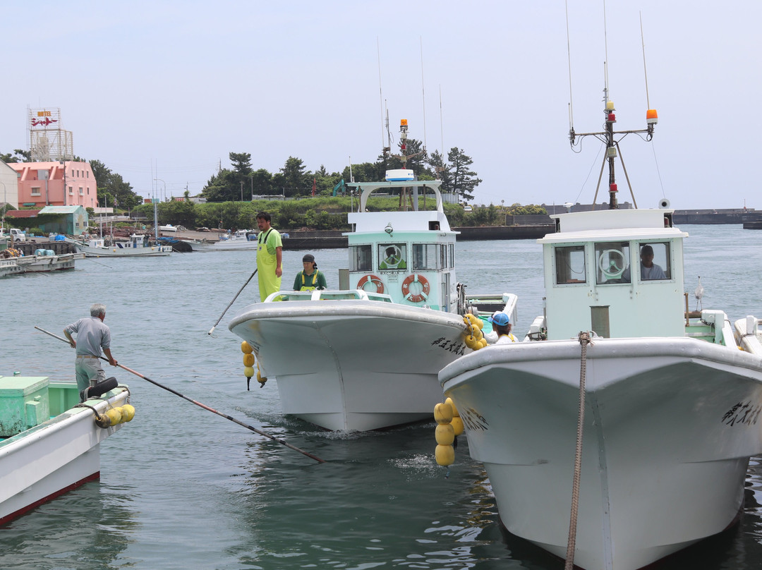 Mochimune Fishing Port-静冈市必去景点