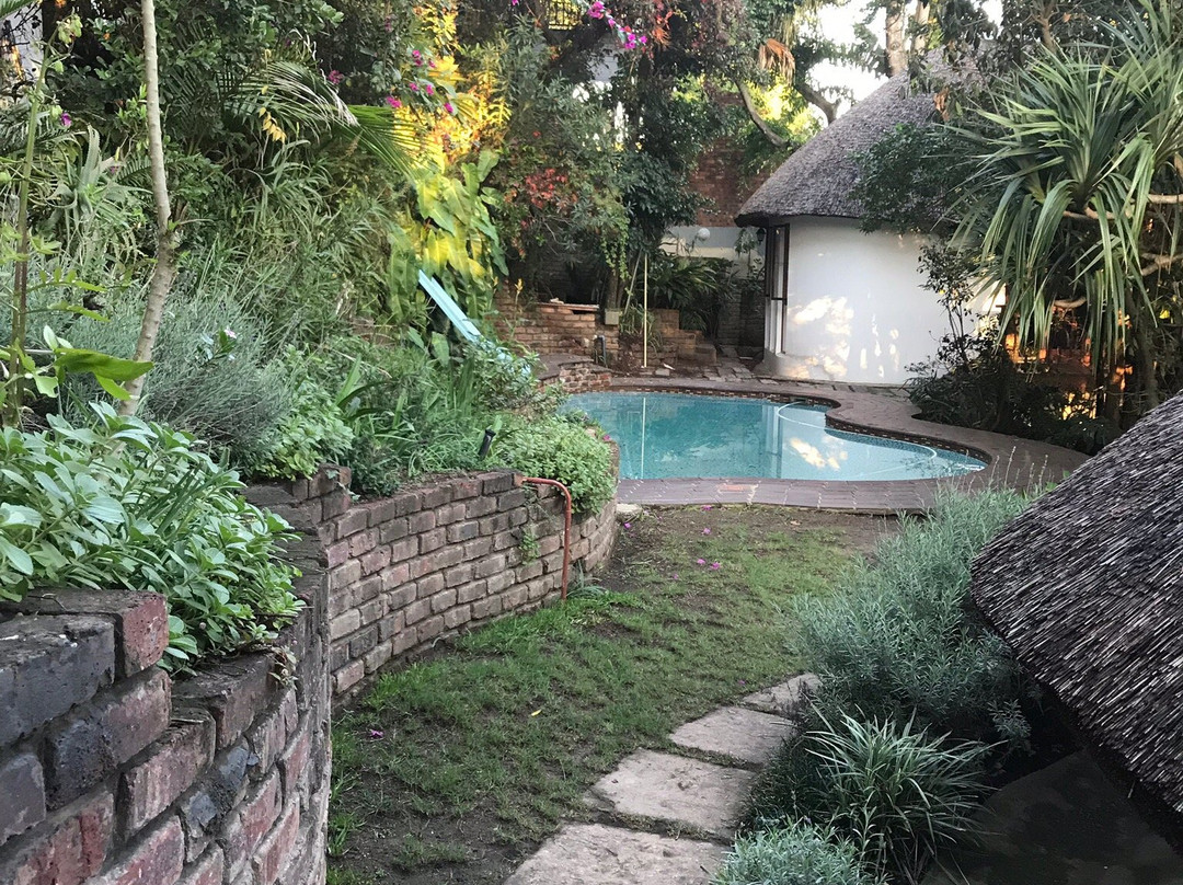 The Loerie Hide主图