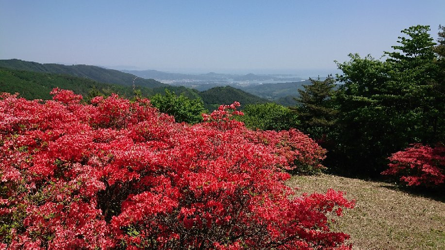 Mt. Tokusenjo-气仙沼市必去景点