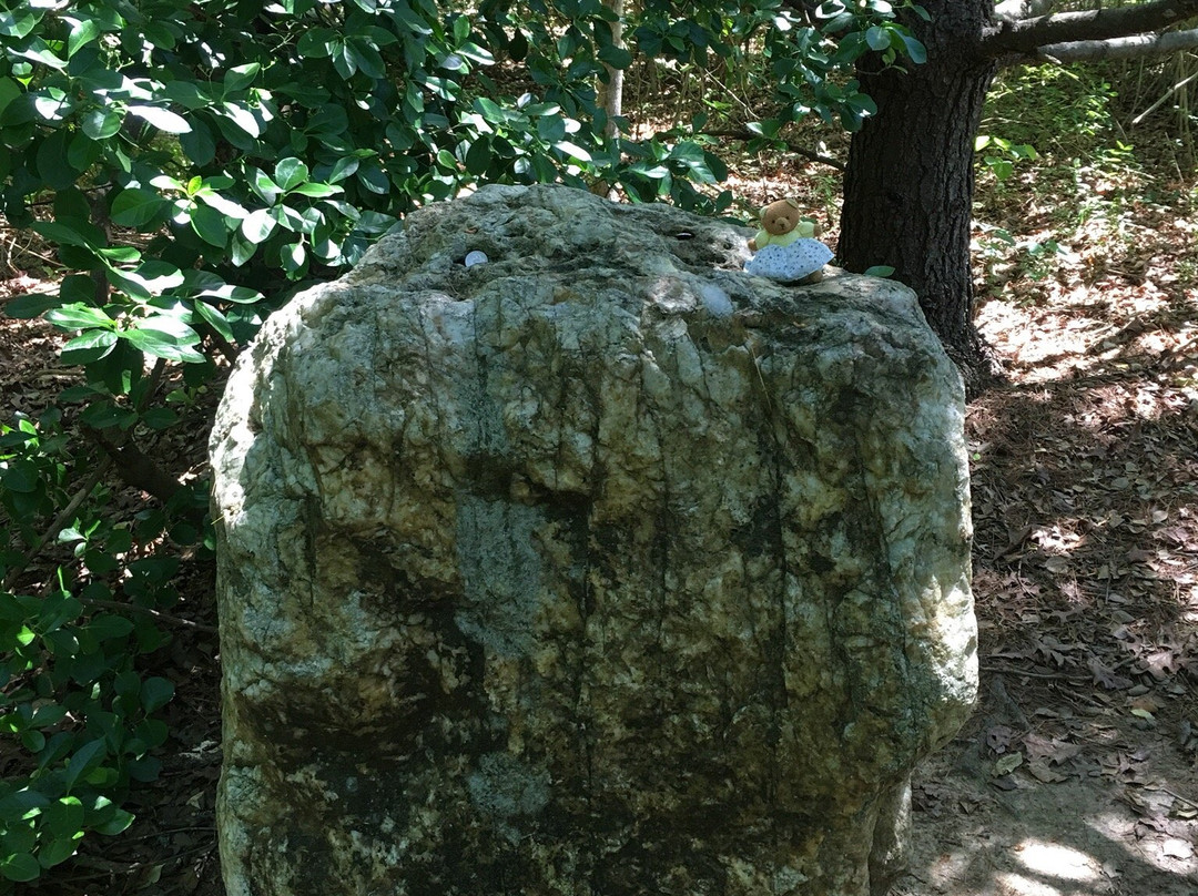 Chancellorsville Battlefield and Visitor Center景点图片