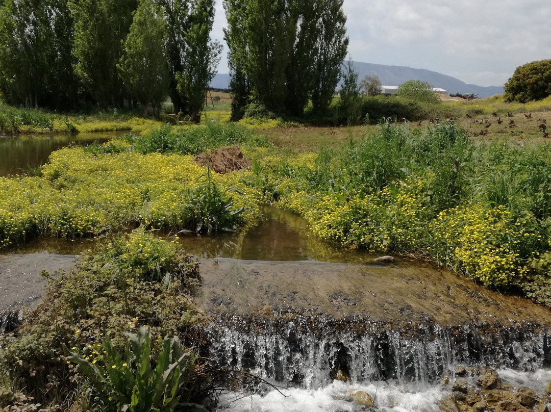 Papagiannakos Winery-Markopoulo Mesogeas必去景点