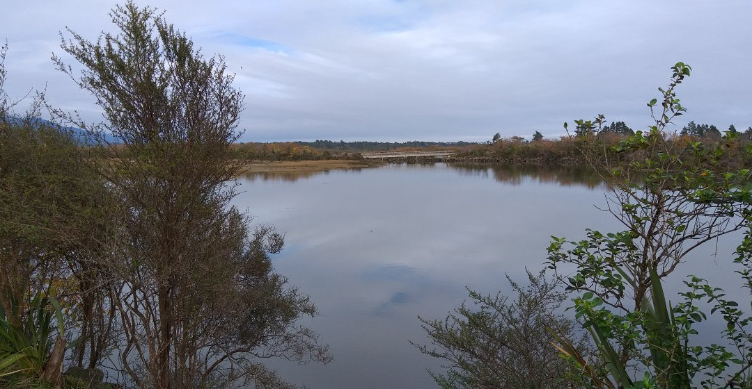 Kawatiri River Trail景点图片