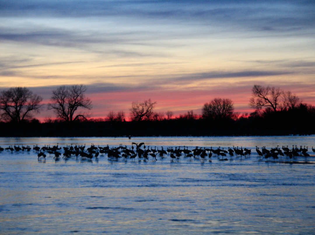 Audubon's Rowe Sanctuary-Gibbon必去景点