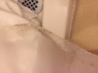 The Woodbound Inn主图