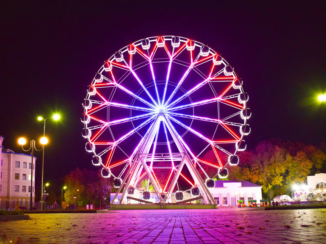 Ferris Wheel Sky 33-弗拉基米尔必去景点