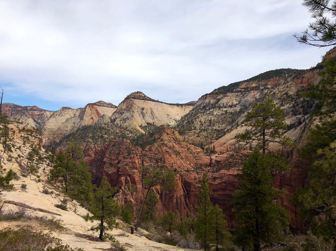 West Rim Trail景点图片