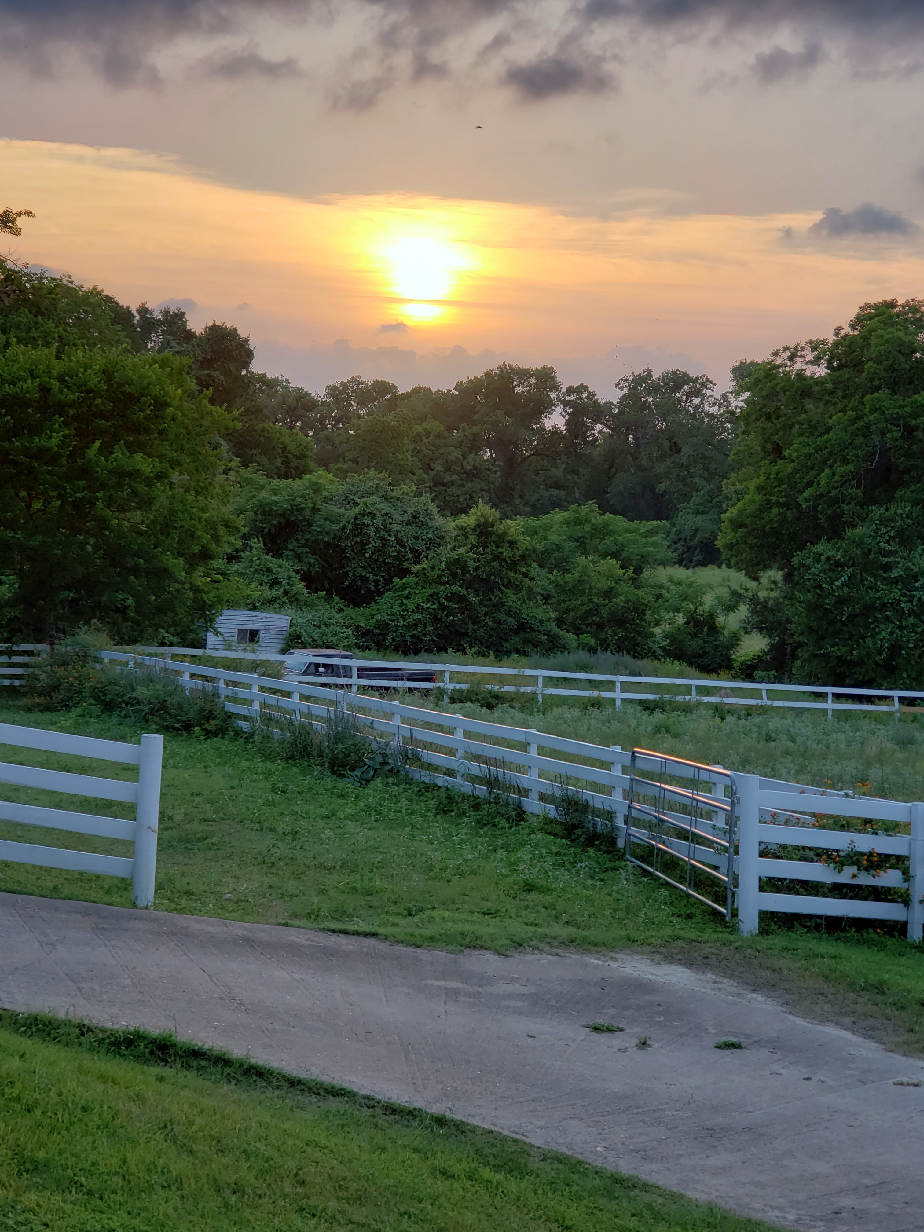 Blue Willow Farm B&B-官方