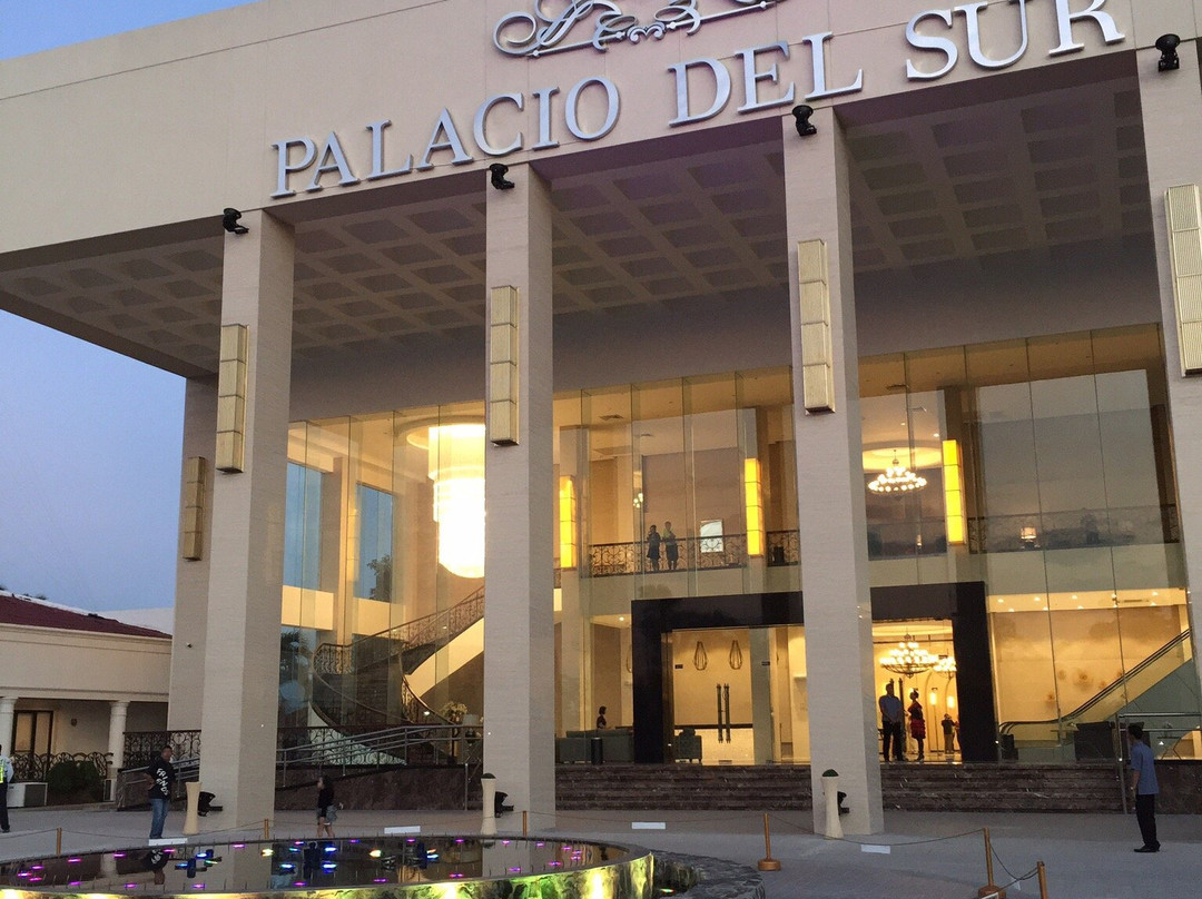 Palacio del Sur主图