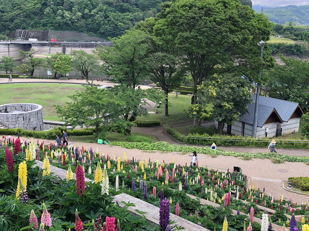 Kanagawa Prefectural Lake Tsukui Shiroyama Park, Water Garden, Flower Garden景点图片