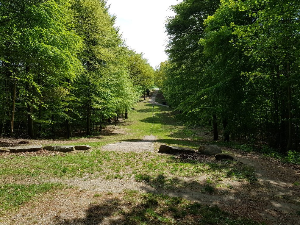 Monumentparken i Skibelund Krat景点图片